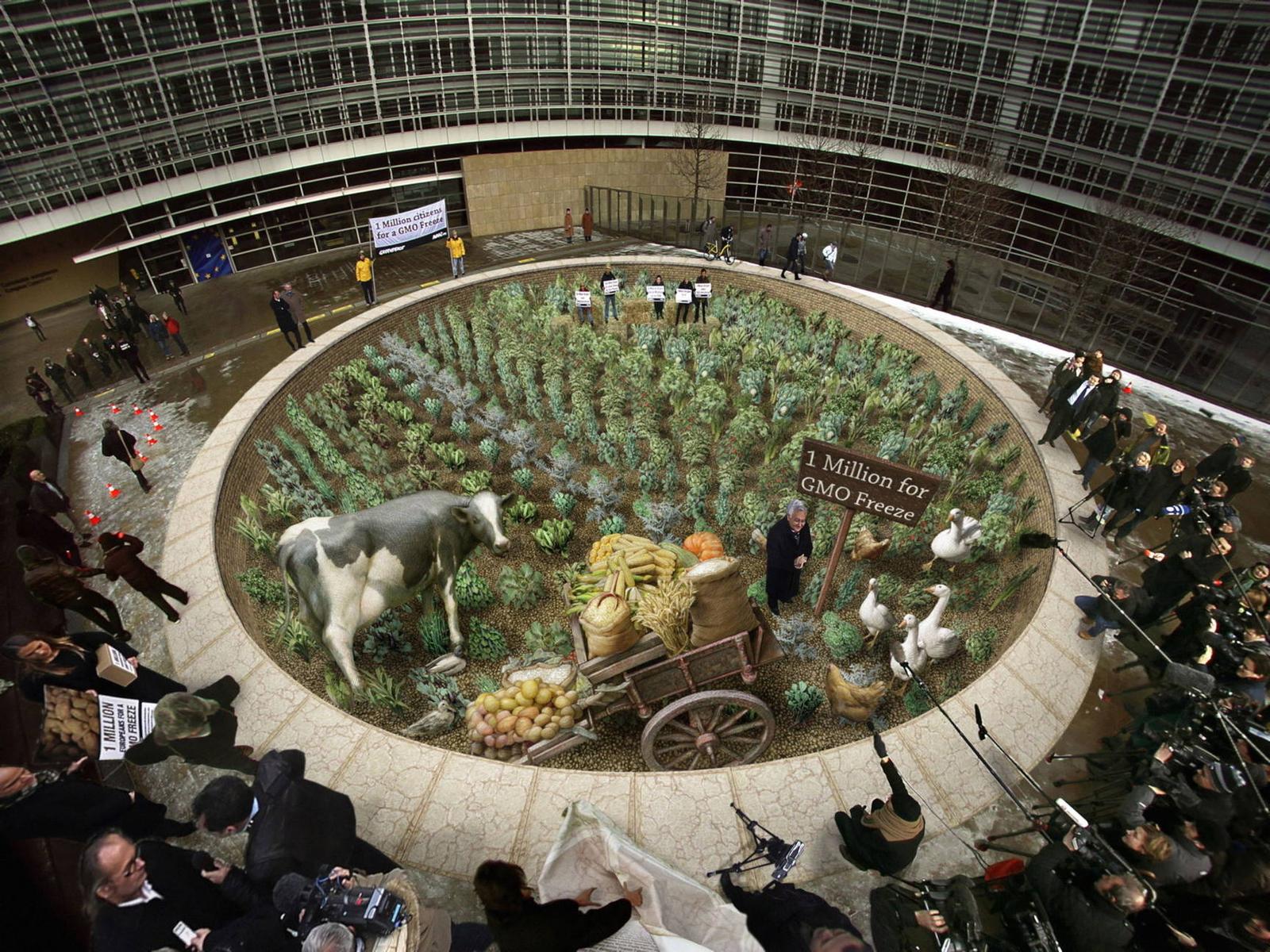 Kurt Wenner Greenpeace